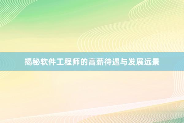 揭秘软件工程师的高薪待遇与发展远景