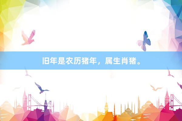 旧年是农历猪年，属生肖猪。